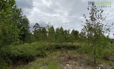 Terreno Construccion  en Venta en Oportunidad !!! Terreno Urbano sector Pelluco Alto