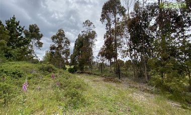 Terreno Construccion  en Venta en Oportunidad !!! Terreno Urbano sector Pelluco Alto