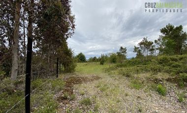 Terreno Construccion  en Venta en Oportunidad !!! Terreno Urbano sector Pelluco Alto