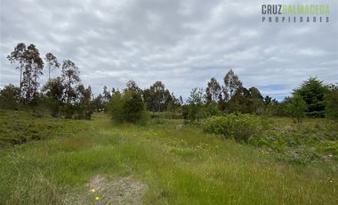 Terreno Construccion  en Venta en Oportunidad !!! Terreno Urbano sector Pelluco Alto