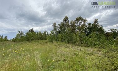 Terreno Construccion  en Venta en Oportunidad !!! Terreno Urbano sector Pelluco Alto