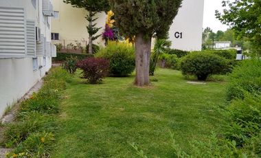 Venta - Depto en P. Baja de 3 dormitorios - Centro de Neuquén Capital
