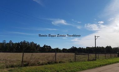 4 HECTARIAS EN MIRAMAR en calle 43 Y 60 (EXCELENTE PARA COMPLEJO DE CABAÑAS)