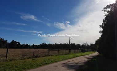 4 HECTARIAS EN MIRAMAR en calle 43 Y 60 (EXCELENTE PARA COMPLEJO DE CABAÑAS)