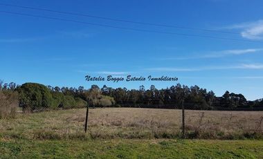 4 HECTARIAS EN MIRAMAR en calle 43 Y 60 (EXCELENTE PARA COMPLEJO DE CABAÑAS)