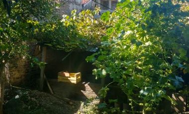 Casa en venta en Sarandi Este