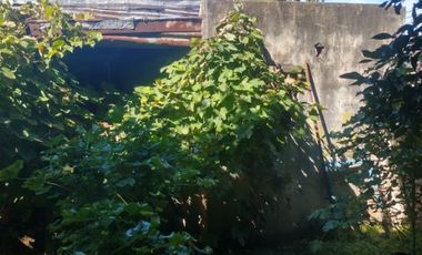 Casa en venta en Sarandi Este