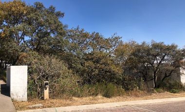 Terreno en venta  Rancho San Juan