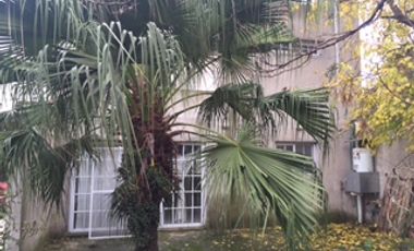 Hermosa Chalet Estilo Quinta en Paso del Rey