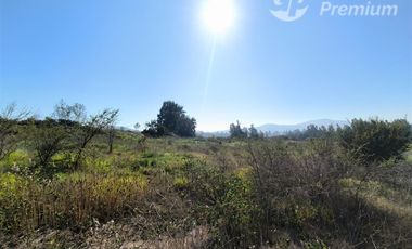 Parcela Agrícola con Derechos de Agua en Venta - Codigua.