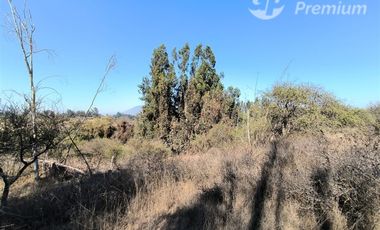Parcela Agrícola con Derechos de Agua en Venta - Codigua.