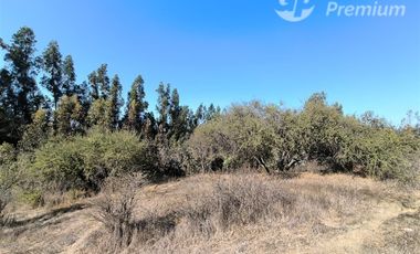 Parcela Agrícola con Derechos de Agua en Venta - Codigua.