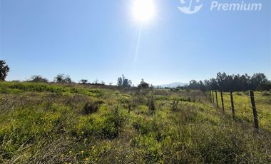 Parcela Agrícola con Derechos de Agua en Venta - Codigua.