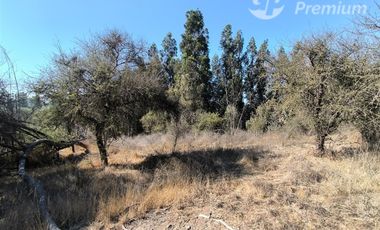 Parcela Agrícola con Derechos de Agua en Venta - Codigua.