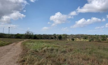 SE vende Finca en Chepo ID4452JD