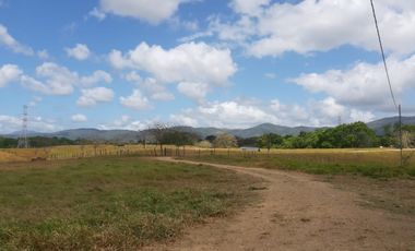 SE vende Finca en Chepo ID4452JD
