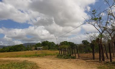 SE vende Finca en Chepo ID4452JD
