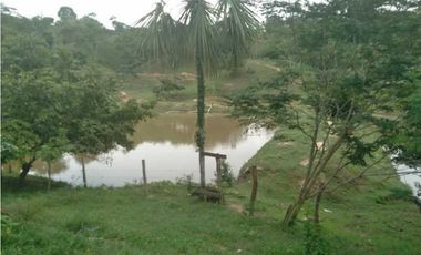 VENTA DE 4.5 HECTREAS VIA PLANETA RICA