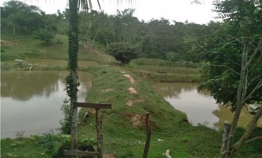 VENTA DE 4.5 HECTREAS VIA PLANETA RICA
