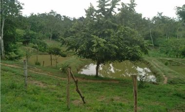 VENTA DE 4.5 HECTREAS VIA PLANETA RICA