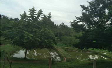 VENTA DE 4.5 HECTREAS VIA PLANETA RICA