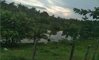 VENTA DE 4.5 HECTREAS VIA PLANETA RICA