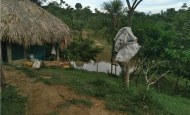 VENTA DE 4.5 HECTREAS VIA PLANETA RICA