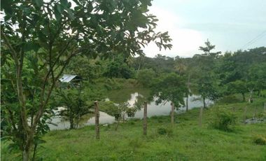 VENTA DE 4.5 HECTREAS VIA PLANETA RICA