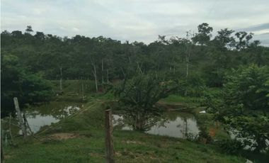 VENTA DE 4.5 HECTREAS VIA PLANETA RICA