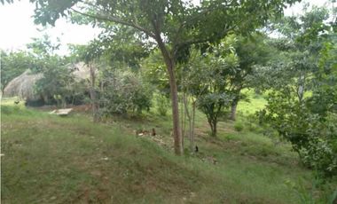 VENTA DE 4.5 HECTREAS VIA PLANETA RICA