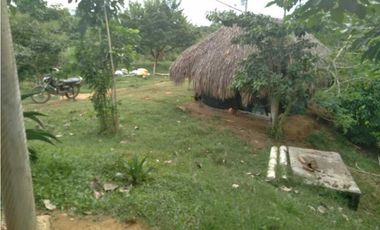 VENTA DE 4.5 HECTREAS VIA PLANETA RICA