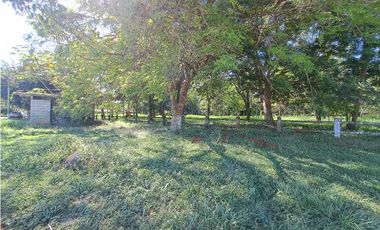 VENDO LOTE COMERCIAL 438 m2 EN CORREGIMIENTO DE CHIRIQUI