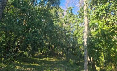 TERRENOS URBANOS DE 5000M2 KM 1,4 CAMINO AL VOLCÁN