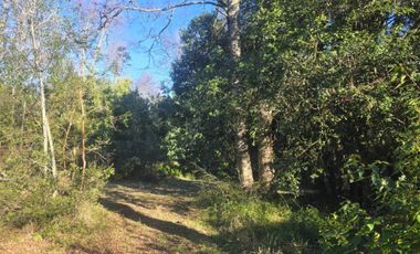 TERRENOS URBANOS DE 5000M2 KM 1,4 CAMINO AL VOLCÁN