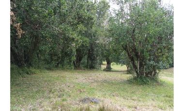 TERRENOS URBANOS DE 5000M2 KM 1,4 CAMINO AL VOLCÁN