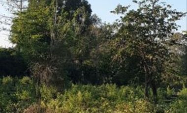 Tanah Kavling 50 Menit ke Bandara Internasional Sultan Hasanudin
