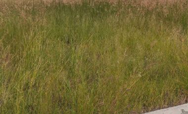 Venta Terreno escriturado 200 m2  Jesús María y José, Villa de Reyes S.L.P.