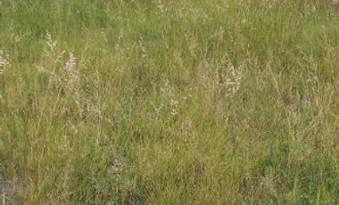 Venta Terreno escriturado 200 m2  Jesús María y José, Villa de Reyes S.L.P.