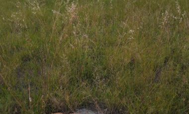 Venta Terreno escriturado 200 m2  Jesús María y José, Villa de Reyes S.L.P.