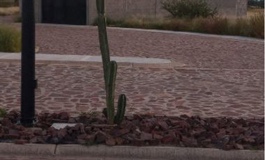 Venta Terreno escriturado 200 m2  Jesús María y José, Villa de Reyes S.L.P.