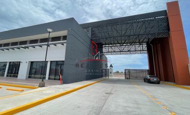 Bodega Renta Sector Aeropuerto Culiacan 48,000 Taninz RG1