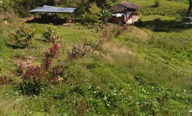 Vendo casa finca con casa campesina en san vicente