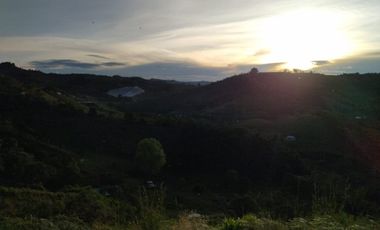 Vendo casa finca con casa campesina en san vicente
