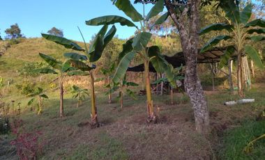 Vendo casa finca con casa campesina en san vicente