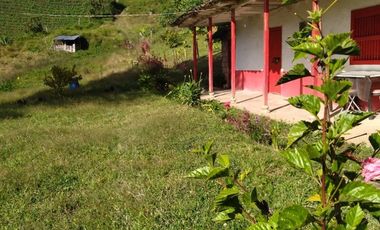 Vendo casa finca con casa campesina en san vicente