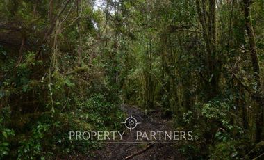 Campo en desembocadura río Chepu, Ancud