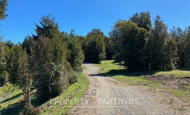 Campo en desembocadura río Chepu, Ancud