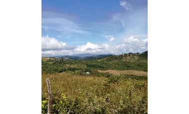 VENDO HERMOSO TERRENO EN LAS LAJAS DE CHAME