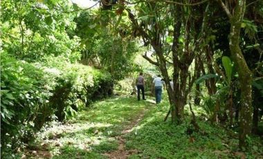 Venta: Terreno con vista al mar en Portobelo Hills