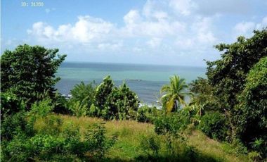 Venta: Terreno con vista al mar en Portobelo Hills